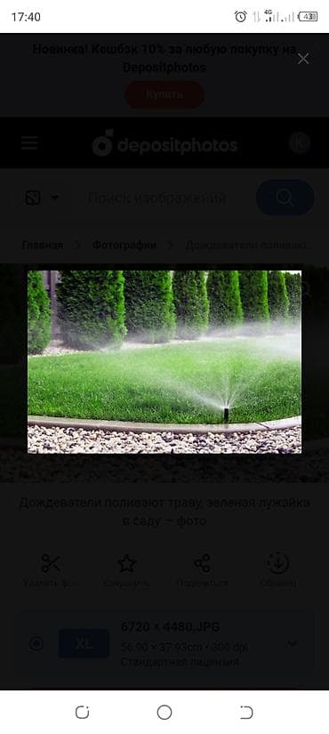 спинклер для полива: Автоматический полив газона и настройка, капельный полив, обрезка — 10