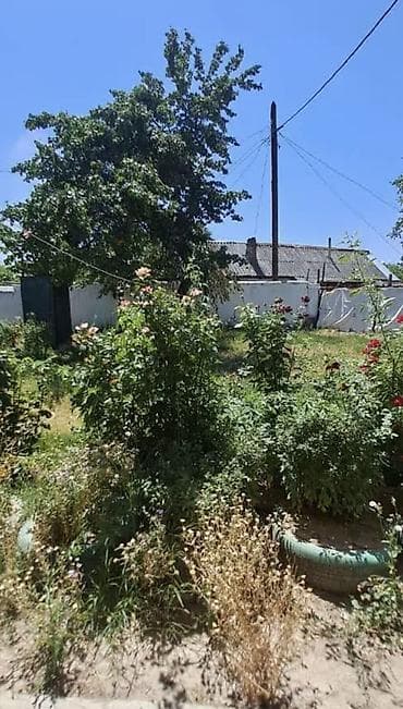 🏡 Продается 3-комн. дом в р/н Аламединского рынка! 📍 Район at lalafo.kg 🏡 Продается 3-комн. дом в р/н Аламединского рынка! 📍 Район