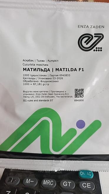Семена тыквы мускатной Matilda F1 (МАТИЛЬДА F1) — гибрид от Enza