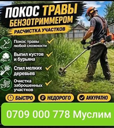 чистка снега: Уборка территории — 1