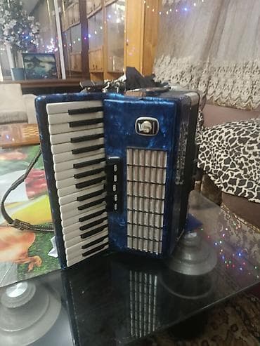 Комузы: Аккордеон с клавиатурой пианино, сине-перламутровый корпус — 2