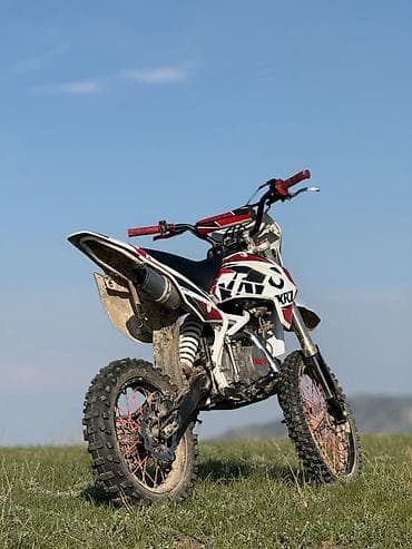 питбайк кайо: Питбайк 150 куб. см, Бензин, Взрослый, Новый — 4