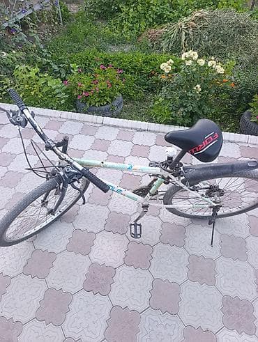 Велосипеддер: Тоо велосипеди, Болот — 2