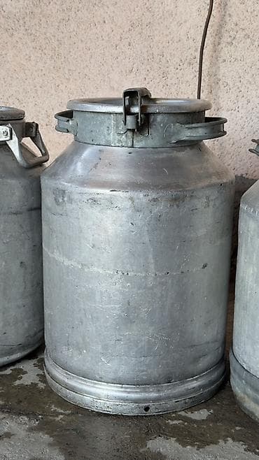 коровы молоко: Канистра Самовывоз — 3