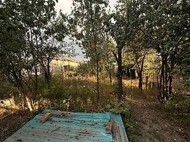 Коммерческая недвижимость: 3х комнатный дом, кухня территория 4,8 соток, большой металлический — 7