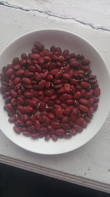 Красная сухая фасоль (цельное зерно) - Сорт: красная фасоль - Цвет at lalafo.kg Красная сухая фасоль (цельное зерно) - Сорт: красная фасоль - Цвет