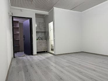 комнаты ыссык кол: Студия с отдельным санузлом и мини-кухней Описание: - Планировка — 2