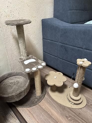 игрушка кот: Когтеточки и игровые комплексы для кошек (набор из двух предметов) - — 1