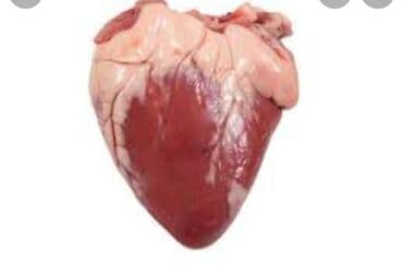 цена на мясо в бишкеке сегодня говядина: МЯСО Говядина! Халал 100% принимаем заказы — 23