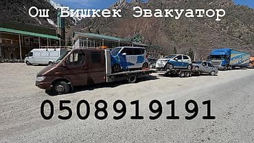 nintendo ds lite: С лебедкой — 1