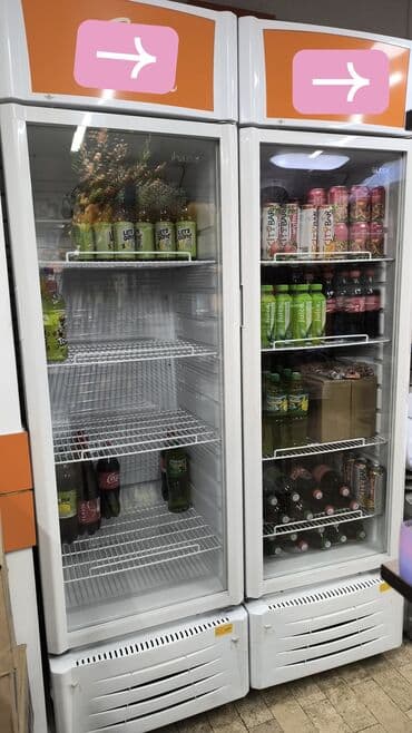 рация ош: Муздаткыч Колдонулган, Бир камералуу — 1