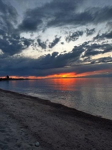 Номер, Дельфин Чок-Тал, Детская площадка, Парковка, стоянка, Охраняемая территория