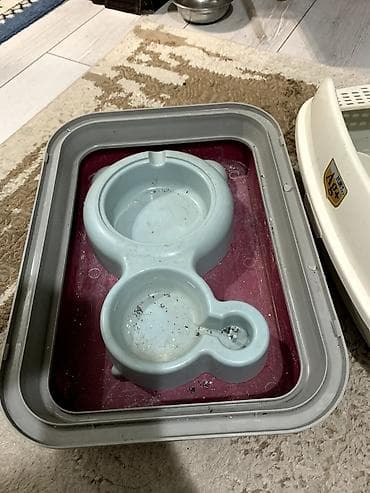 где можно купить собачью будку: Набор для кошки/котёнка: - Туалет-лоток из прочного пластика с — 2