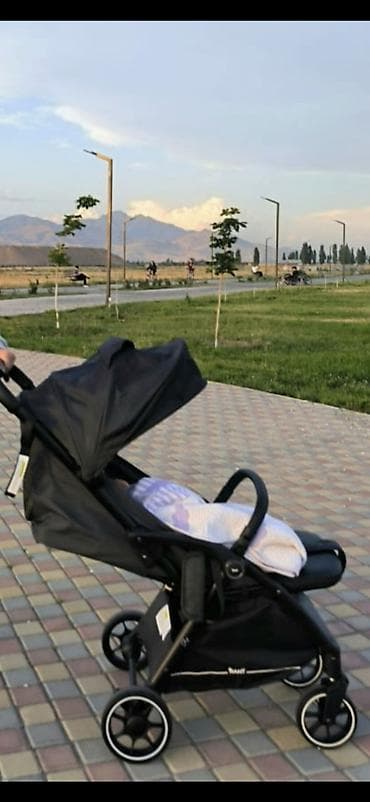 Прогулочная коляска Rant Sky (черная) - Компактная и легкая, с