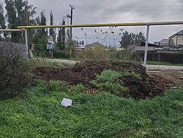 морковь кормовая: ОТДАМ ДАРОМ. Торф/перегной, плодородный грунт для участка адрес село — 2