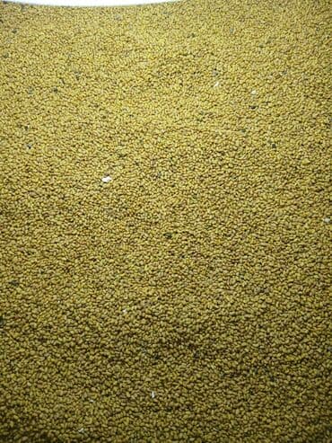 мёд цена бишкек: Уруктар тоют өсүмдүктөрүнүн: Беде, Өзү алып кетүү — 1