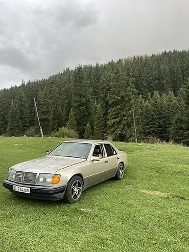 Mercedes-Benz W124: 1993 г., 3.2 л, Механика, Бензин, Седан