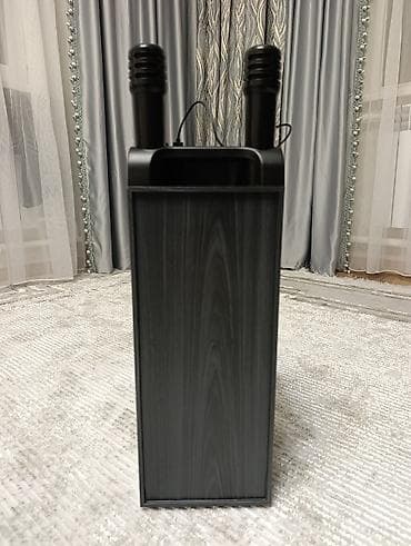 samsung 21s: Портативная акустическая система с караоке - Форм-фактор — 5