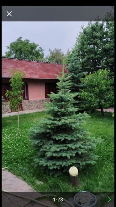 Дом, 40 м², 2 комнаты, Собственник, Старый ремонт at lalafo.kg Дом, 40 м², 2 комнаты, Собственник, Старый ремонт