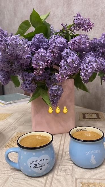 большие кружки: Ищу девушку с подселением — 1