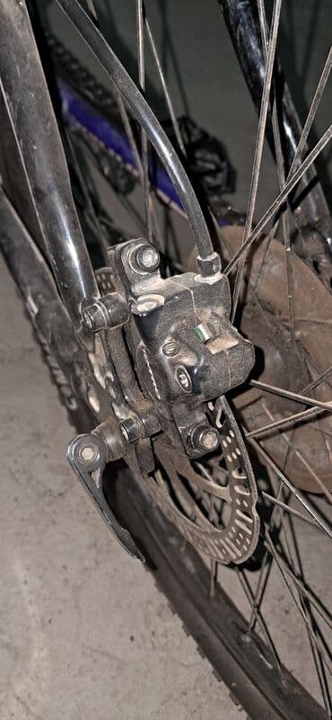 моноколесо сколько стоит: Горный велосипед, Алюминий — 8