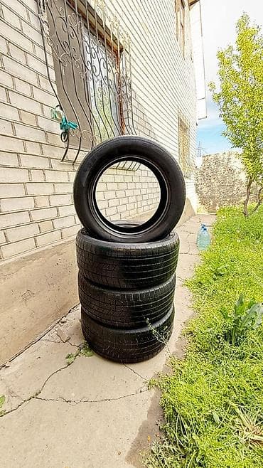 w210 55: Комплект зимних шин (4 шт.) - Размер: 285/50 R20 - Индекс — 1