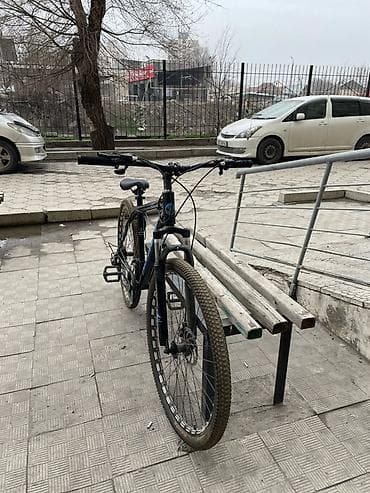 forward apache: Горный велосипед MTB Wolf (MTWOLF), хардтейл - Рама: стальная — 4