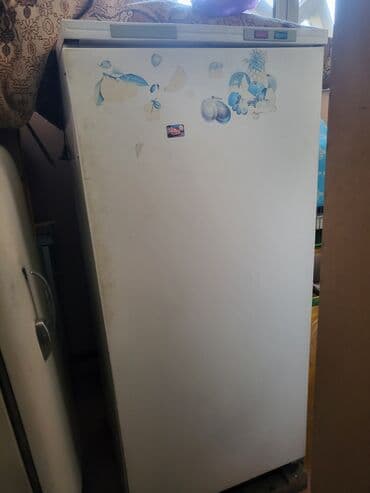 кир жуучу жай: Муздаткыч Бир камералуу — 3