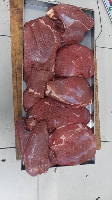 араба тачка: Птица — 5