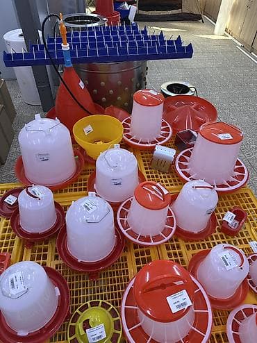 scottish fold: Кормушка бункерная 1,5 кг 3кг 6 кг 8 кг 10 кг Поилка бункерная 1 л — 5