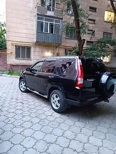 зимние чехлы: Honda CR-V: 2005 г., 2 л, Автомат, Бензин, Кроссовер — 5
