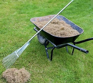 Другие услуги: Уборка территории, Уборка двора и сада, Другое, Уход за деревьями — 1