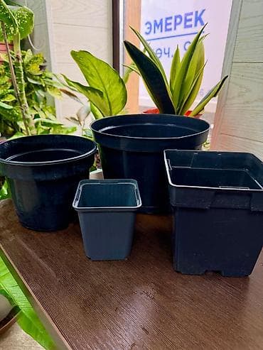 Горшки для растений: Горшки в хорошем состоянии. 0,5л. - 5сом. 2л. - 15 сом. 3л. - 20 сом — 1