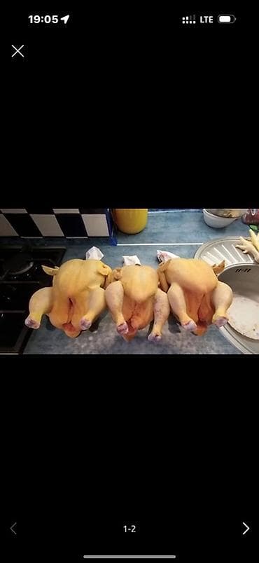 дикая черника: Домашние тушки кур (потрошённые) - Целые тушки кур, ! домашние — 1