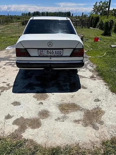 решетка аккорд 7: Mercedes-Benz W124: 1992 г., 2.5 л, Механика, Дизель, Седан — 3