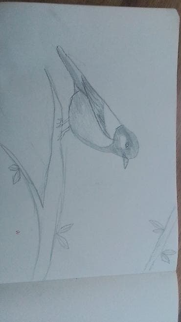 темир тапкыч: Портрет карандашом на бумаге нарисую вас тоже. за 150сом. я — 2