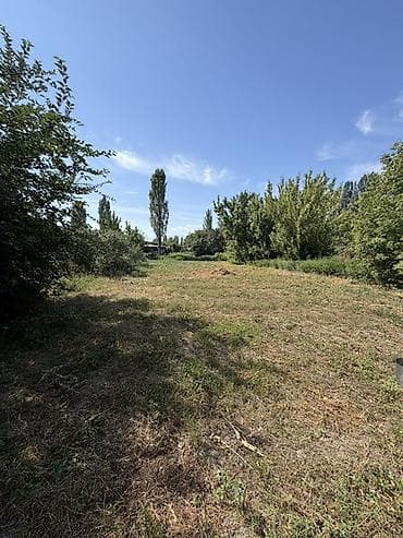вишня токмок: 17 соток, Для строительства — 2