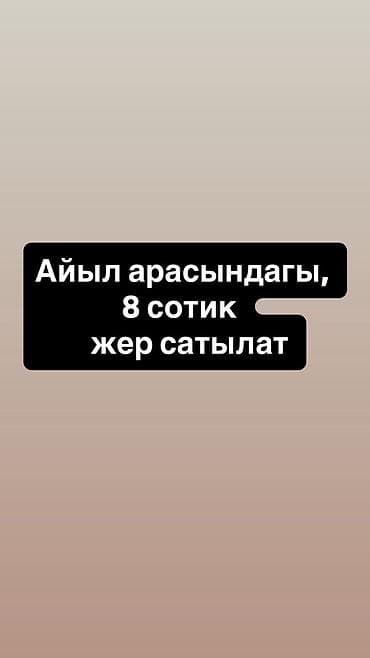 Кыймылсыз мүлк: 8 соток, Кызыл китеп — 1