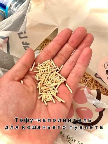 скрещивание разных животных: Премиальные наполнители для кошачьего туалета в Бишкеке 🐾 Чтобы дома — 8