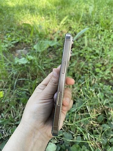 pro 11: IPhone 16 Pro, 256 ГБ, 90 % — 8