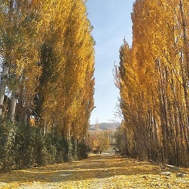 участок бает: 5 соток, Для строительства, Красная книга, Договор купли-продажи — 5