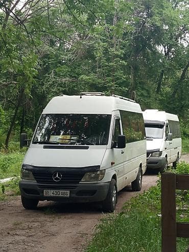 Пункт назначения: Все направления, Количество мест: 18, Лицензия №: 00В005382 at lalafo.kg Пункт назначения: Все направления, Количество мест: 18, Лицензия №: 00В005382