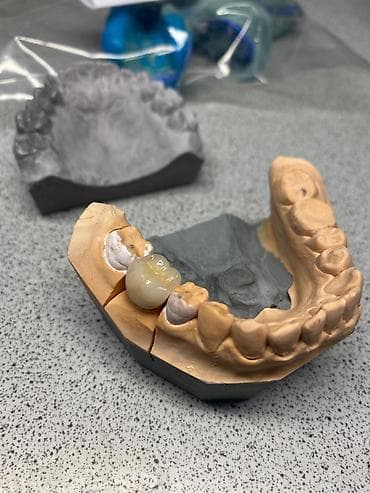 IT, компьютеры, связь: Зубной техник (Premium-класс) С опытом работы ( 10 лет) — 2