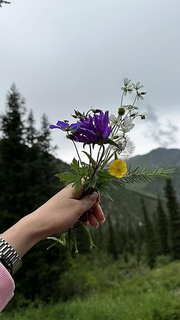 ич кийим: Кымызолечение в Чон-Кемине (Божетпес) 🌿 Чистый горный воздух и — 10