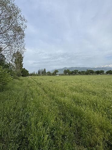 куплю участок пригородный: 282 соток, Для строительства, Договор купли-продажи, Красная книга — 2