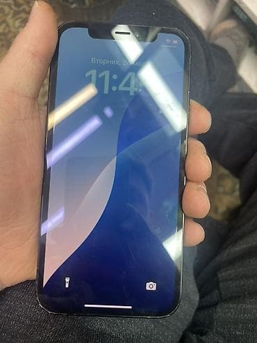 муляж для айфона: IPhone 12 Pro, Pacific Blue, 79 % — 2