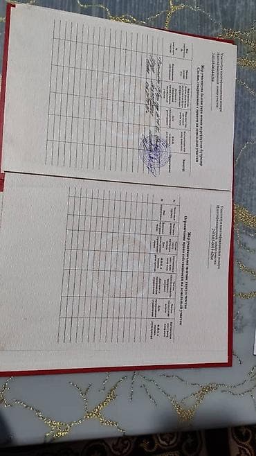 7 соток, Бизнес үчүн — 2