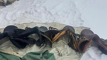 один штук: Комплект английских седел для верховой езды в наличии 5 штук - Тип — 2