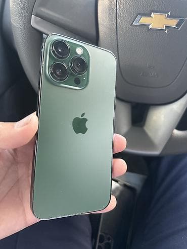 iphone 16: IPhone 13 Pro, Б/у, 256 ГБ, Alpine Green, Чехол, Защитное стекло, 76 % — 1