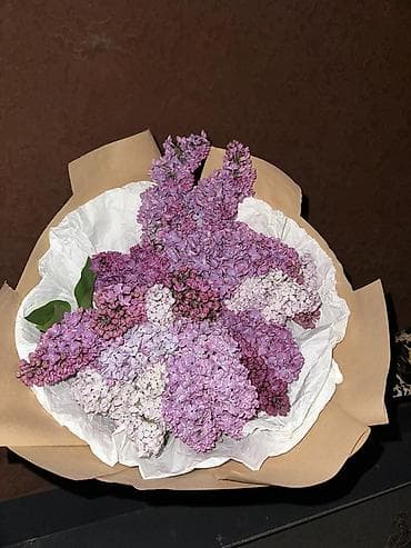 букет сирень: Букет из сирени дешево по 20 800 1000 БЫСТРО И ДЕШЕВО ПИШИТЕ ЗВОНИТЕ — 4